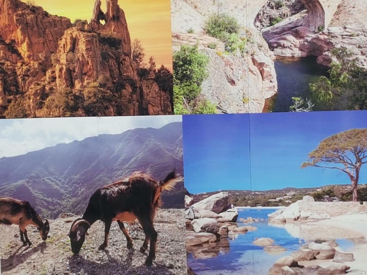 Vila Un Charme Absolu Bastelicaccia Exteriér fotografie